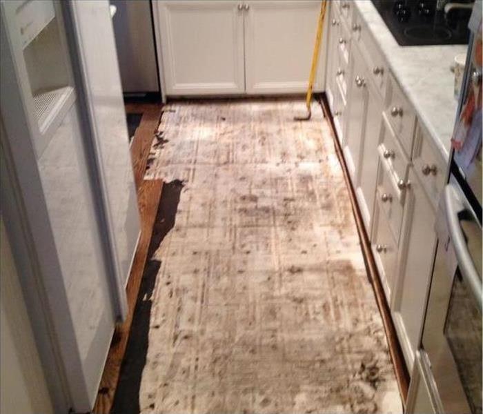 Home kitchen with removed hardwood flooring and exposed mold. 